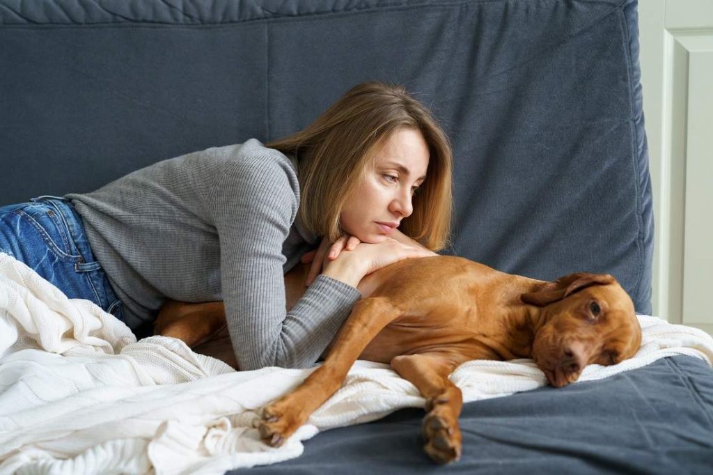 Caring Of Sick Dog